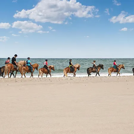 2 Bedroom In Vakantiehuis *